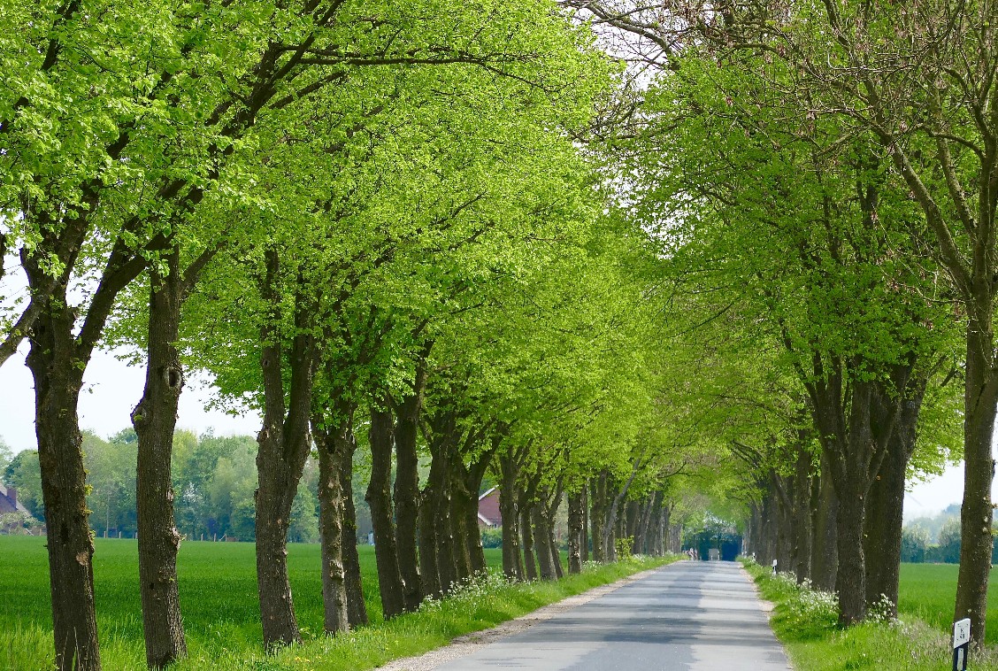 Der See am Schafweg